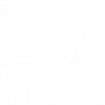 Netto logo